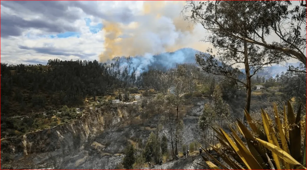 Dos incendios forestales en Quito movilizan a cerca de 70 bomberos para evitar propagación