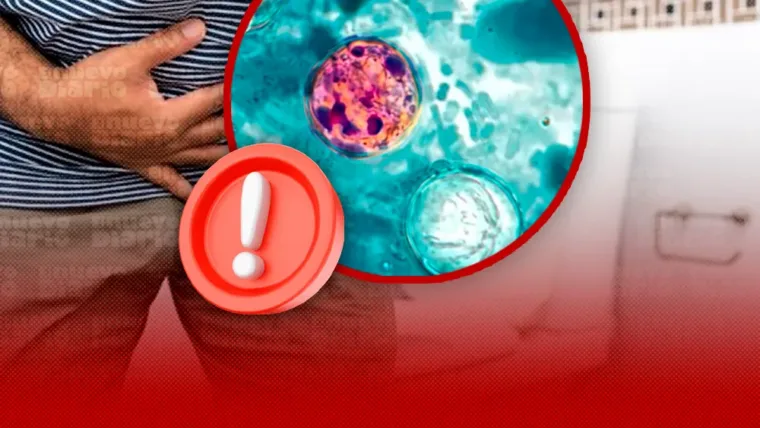 EE. UU. da por terminado el mayor brote de ciclosporiasis