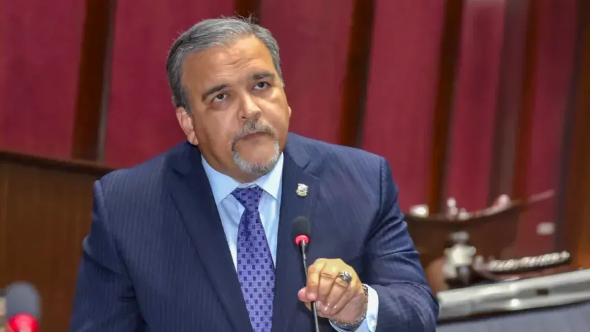 Elías Wessin Chávez, diputado. Abre polémica