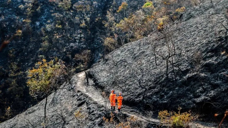 Incendio arrasa 3,000 hectáreas de bosque, redes de agua y