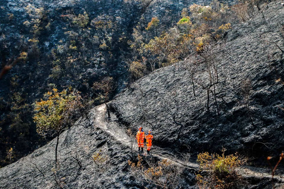 Incendio arrasa 3,000 hectáreas de bosque, redes de agua y cultivos en norte de Colombia