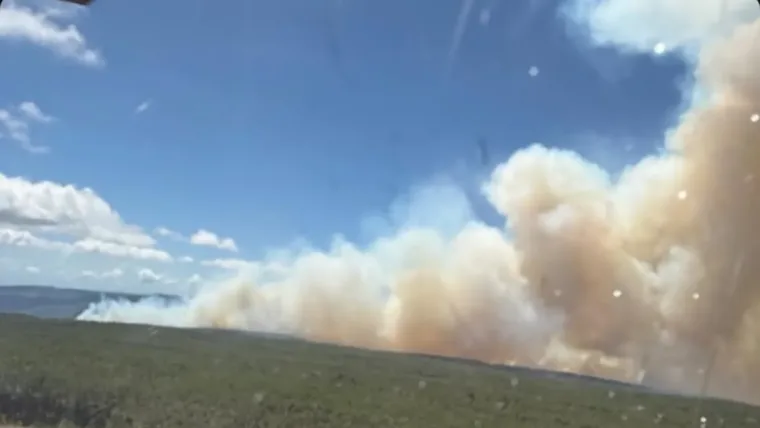 Incendio en la Sierra de Bahoruco moviliza a más de 250