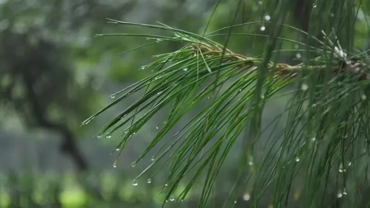 Indomet pronostica escasas lluvias y posibles truenos para