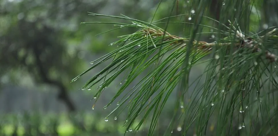 Indomet pronostica escasas lluvias y posibles truenos para este sábado