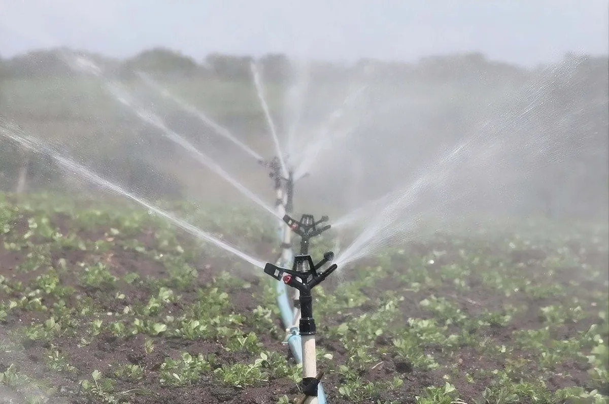 La sequía golpea al sector agropecuario y comienza a presionar a los productores