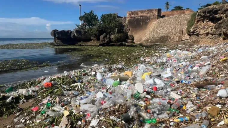La trampa natural que atrapa la basura que arrastra el río