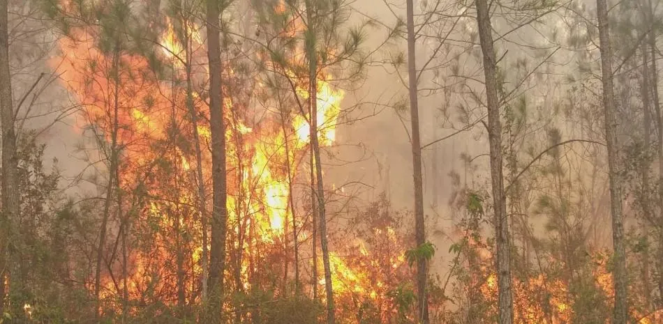 Observatorio alerta sobre emergencia por incendios forestales