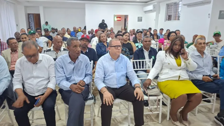 Rafael Castillo pone en marcha estructura territorial para