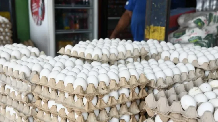 RD reanuda las exportaciones de huevos a Cuba con envío de