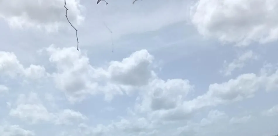 Sequía amenaza producción agropecuaria municipios parte oeste Puerto Plata
