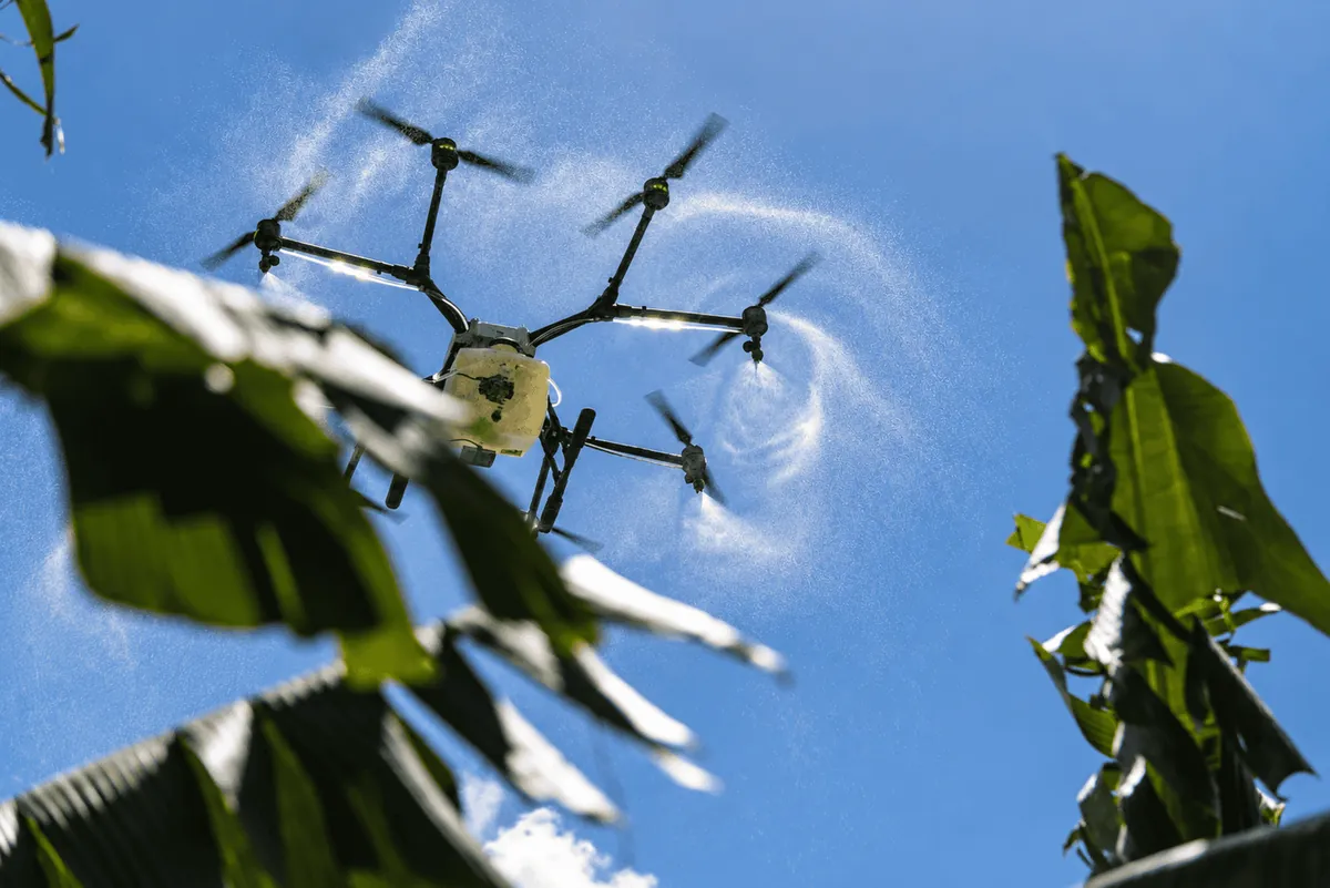 Tecnología, capacitación y relevo generacional: principales necesidades del sector agropecuario