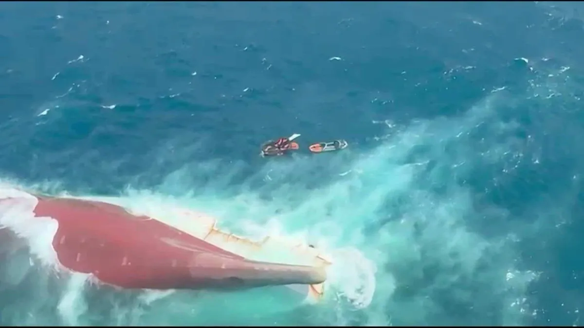 VIDEO | Seis muertos y más de 129 desaparecidos tras volcar un ferri en Indonesia